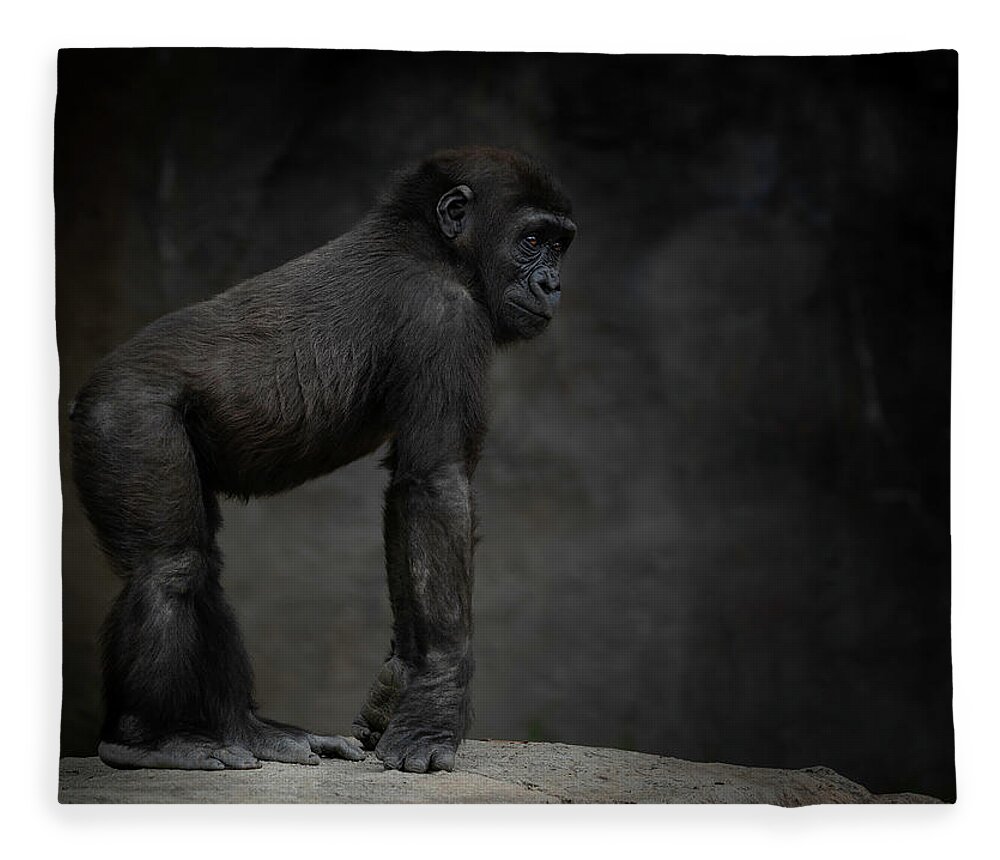 Larry Marshall Photography Fleece Blanket featuring the photograph Little Chimp 3 #2 by Larry Marshall