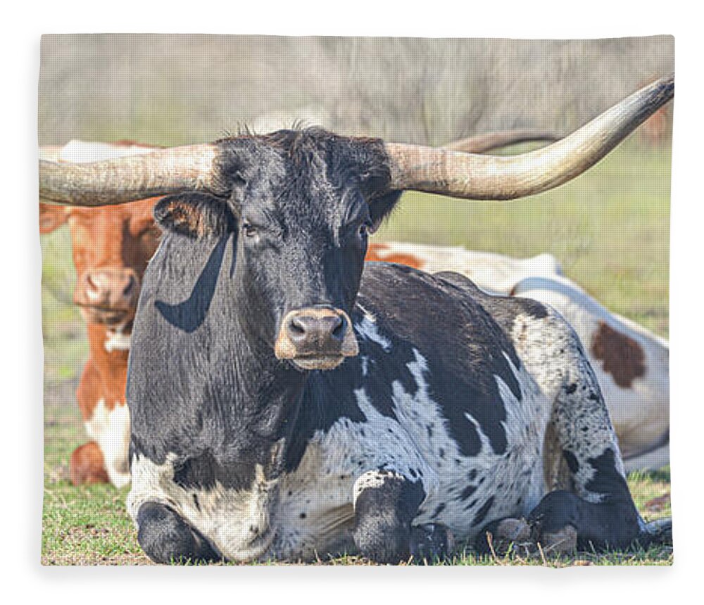 Longhorns Fleece Blanket featuring the photograph Longhorns #1 by Christopher Rice