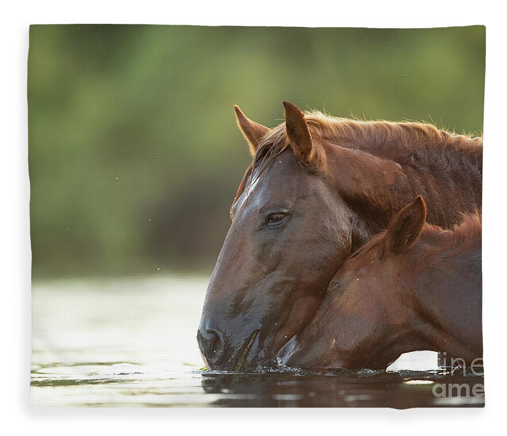 Salt River Wild Horses Fleece Blanket featuring the photograph Love #1 by Shannon Hastings