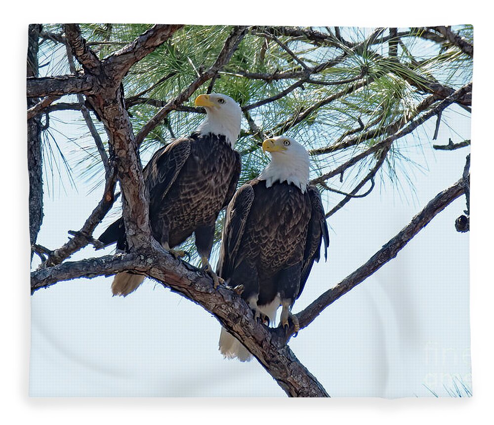 Bald Eagles Fleece Blanket featuring the photograph M15 and Harriet #2 by Liz Grindstaff