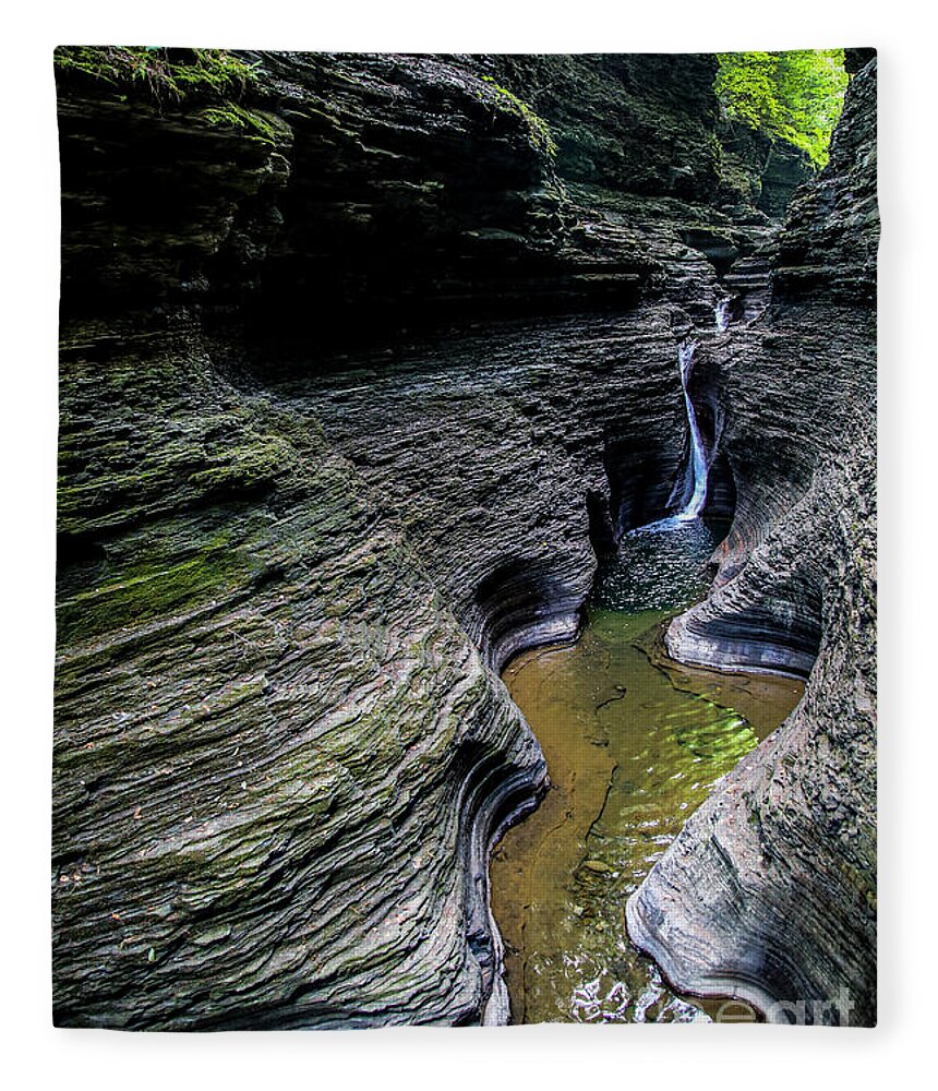 Watkins Glen Fleece Blanket featuring the photograph Nature's Art #1 by Erin Marie Davis