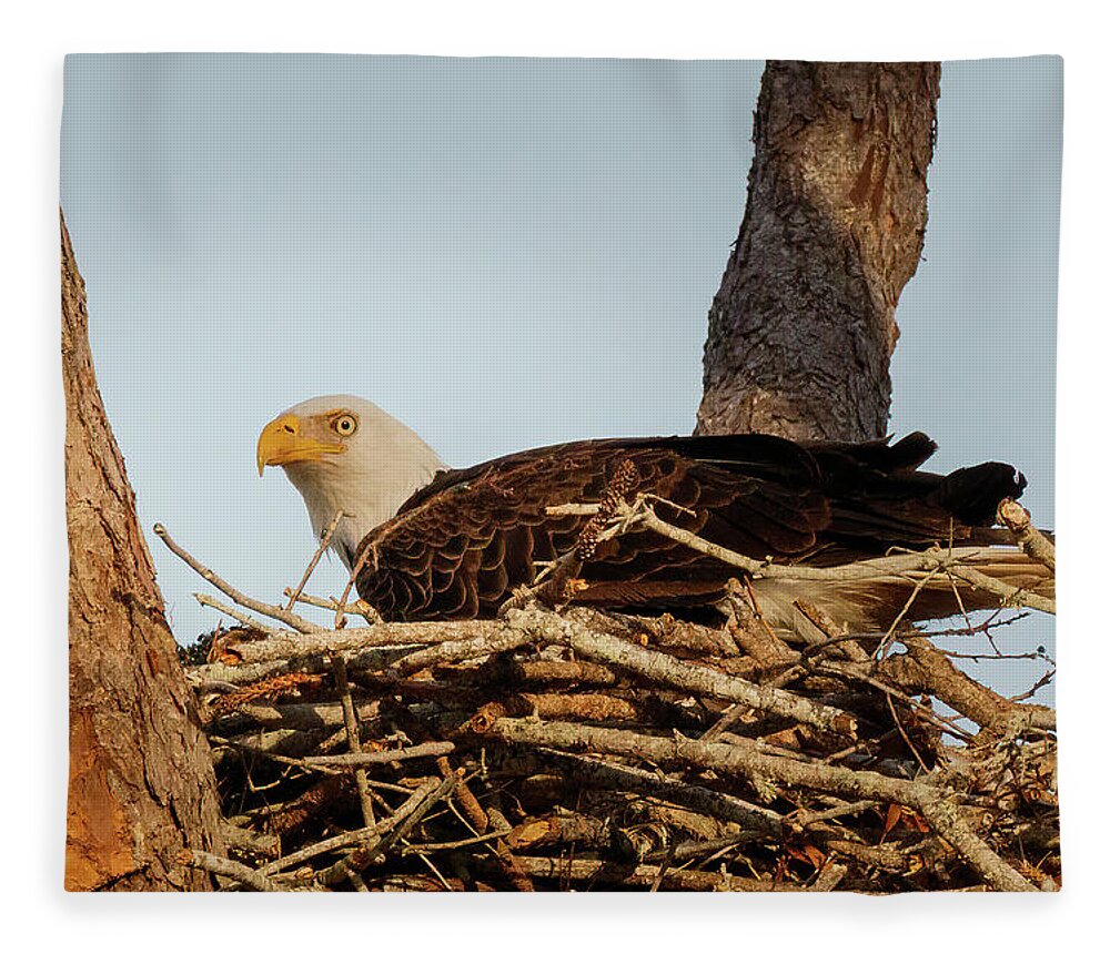Eagle Fleece Blanket featuring the photograph Nesting Mother #1 by Les Greenwood