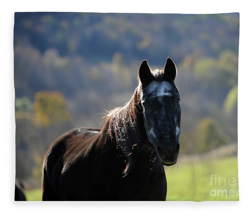 Rosemary Farm Fleece Blanket featuring the photograph Oliver #1 by Carien Schippers