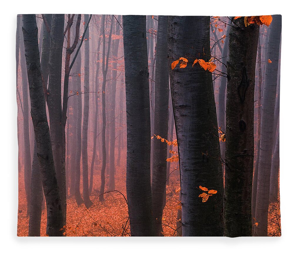 Mountain Fleece Blanket featuring the photograph Orange Wood by Evgeni Dinev