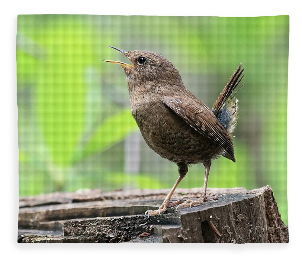 Wren Fleece Blanket featuring the photograph Pacific-winter Wren #1 by Terry Dadswell