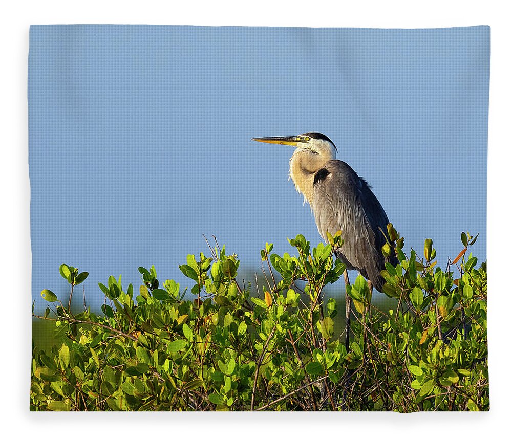 R5-2618 Fleece Blanket featuring the photograph Perched by Gordon Elwell