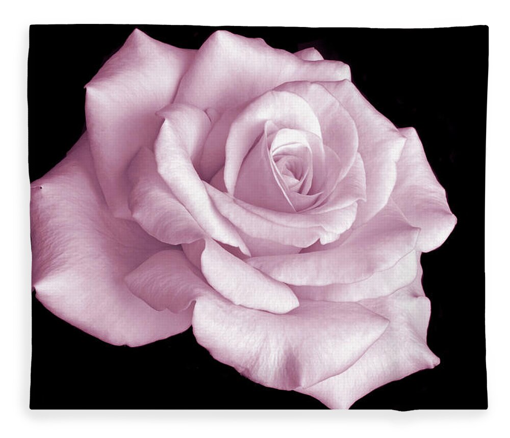 Pink Rose Fleece Blanket featuring the photograph Pretty in Pink #1 by Terence Davis
