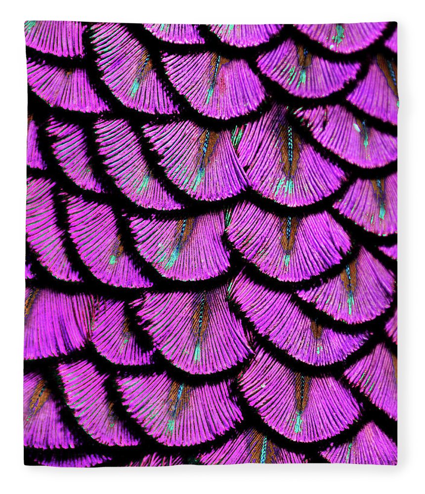 Purple Feathers #1 Fleece Blanket by Michael Fitzsimmons - Pixels
