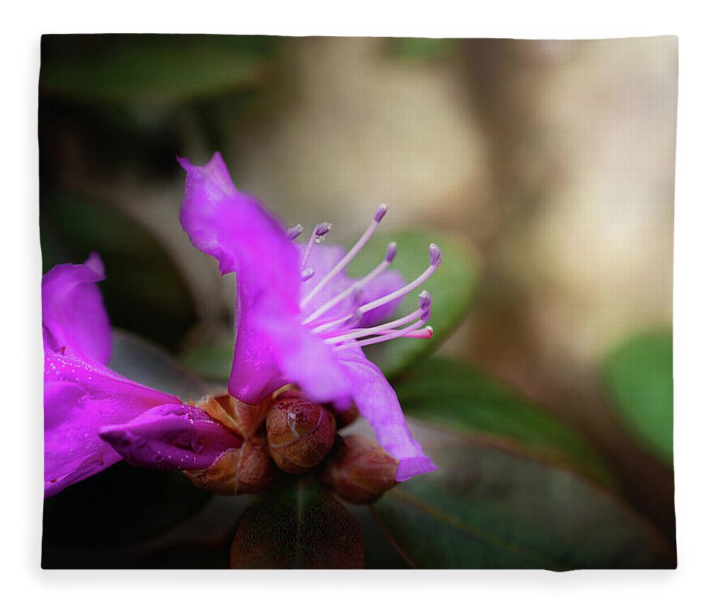 Purple Rhododendron Blossom Fleece Blanket featuring the photograph Purple Rhododendron Print by Gwen Gibson