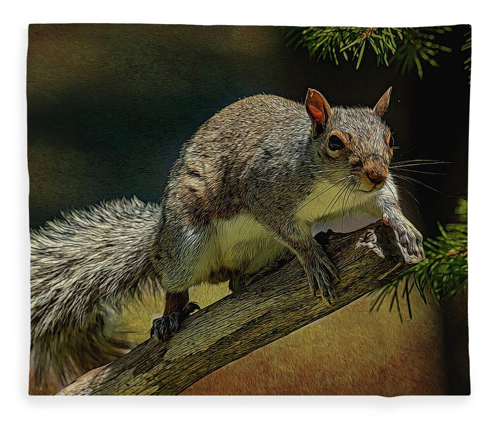 Squirrel Fleece Blanket featuring the photograph Ready To Jump #1 by Cathy Kovarik