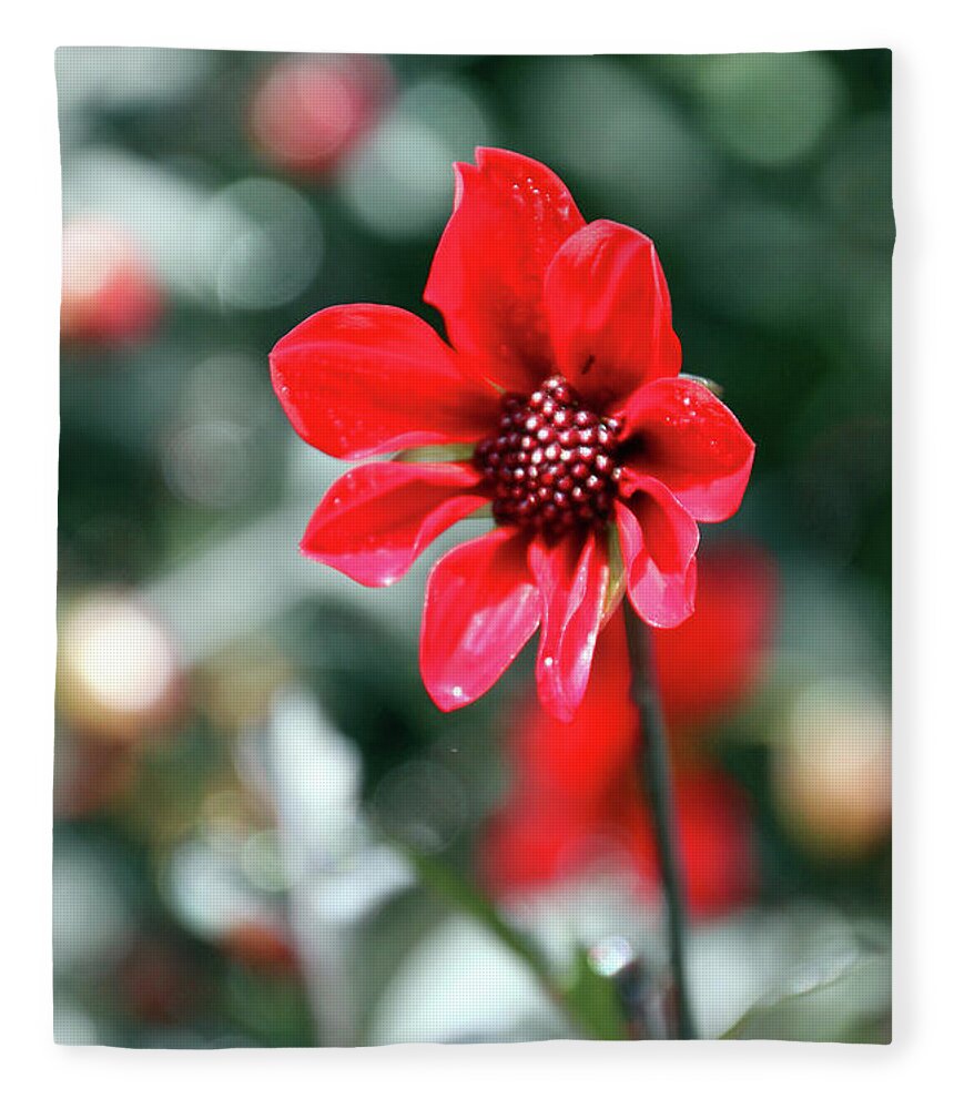 Flower Fleece Blanket featuring the photograph Red Bokeh #1 by Carolyn Stagger Cokley
