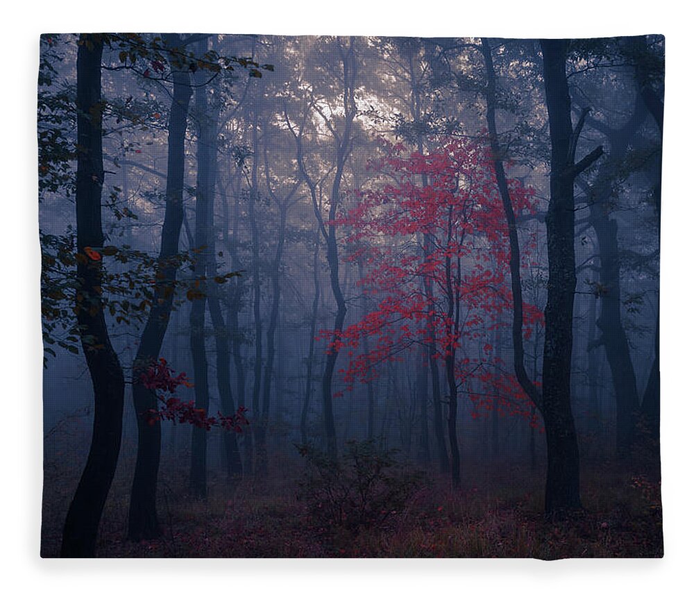 Balkan Mountains Fleece Blanket featuring the photograph Red Tree by Evgeni Dinev