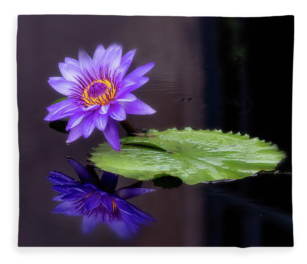 Floral Fleece Blanket featuring the photograph Reflecting #1 by Usha Peddamatham