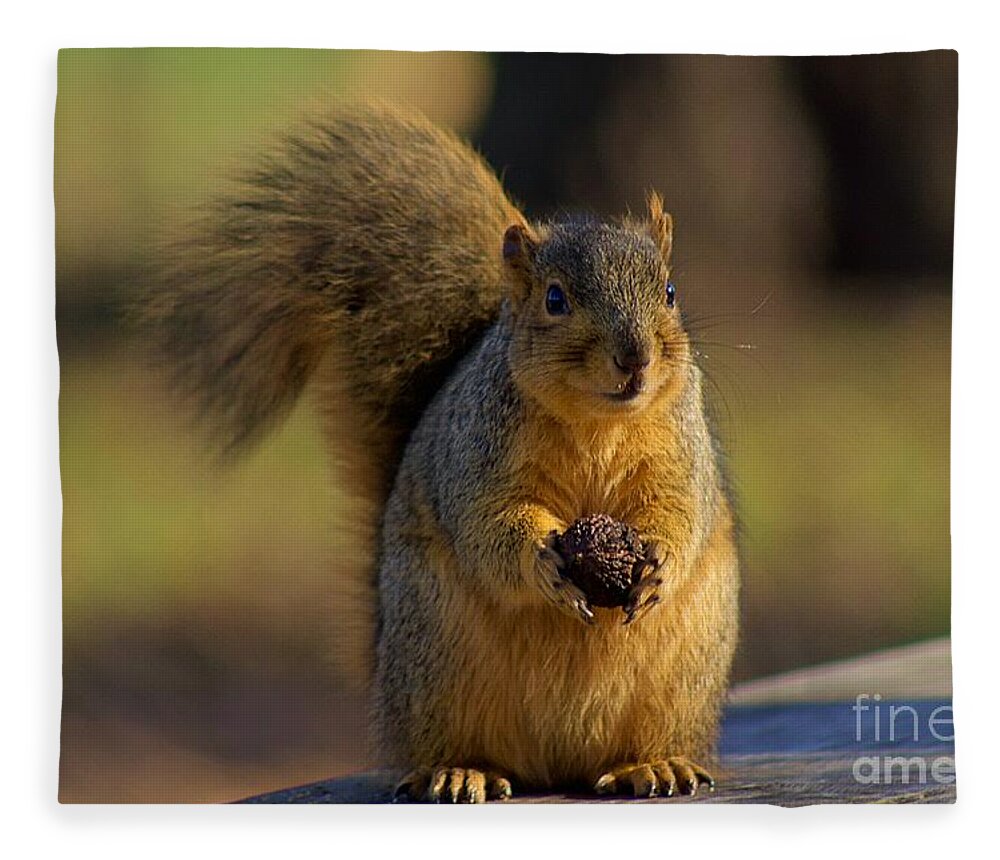 Squirrel Fleece Blanket featuring the photograph Rocky' the squirrel by Yvonne M Smith
