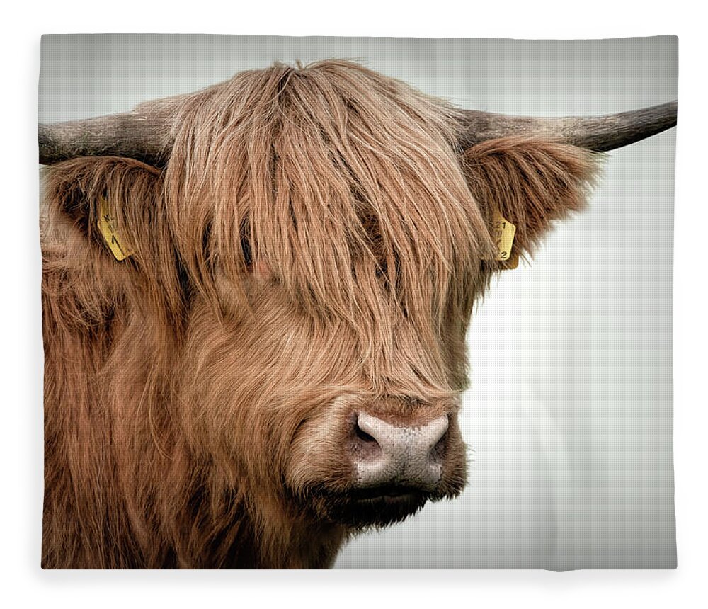 Scottish Highlander Fleece Blanket featuring the digital art Scottish Highlander Portrait #1 by Marjolein Van Middelkoop