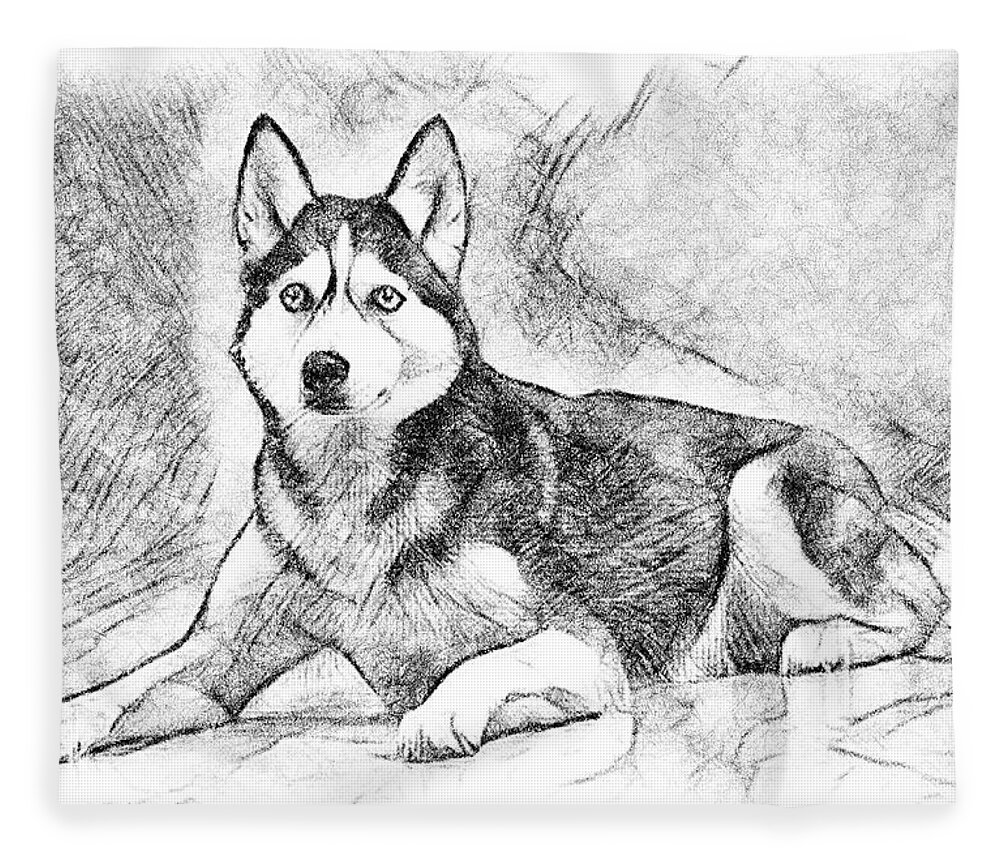 Easy Husky Drawing  Tutorial For Kids  Cool Drawing Idea