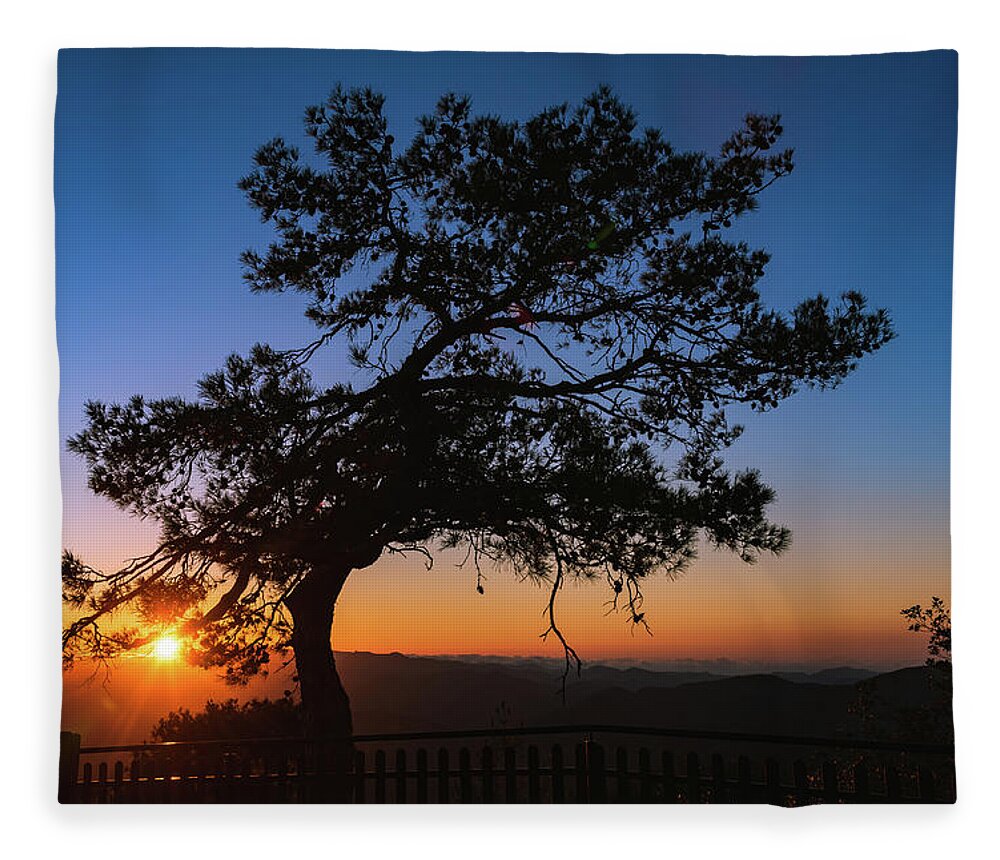 Cyprus Fleece Blanket featuring the photograph Silhouette of a forest pine tree during blue hour with bright sun at sunset. #1 by Michalakis Ppalis