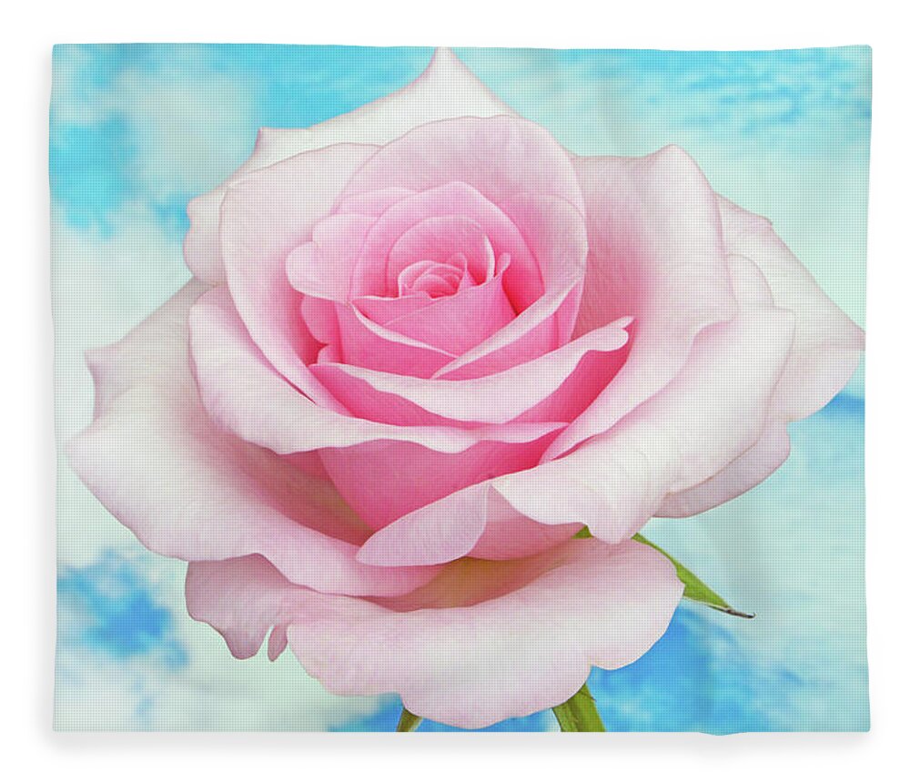 Roses Fleece Blanket featuring the photograph Sky Pink Rose #1 by Terence Davis