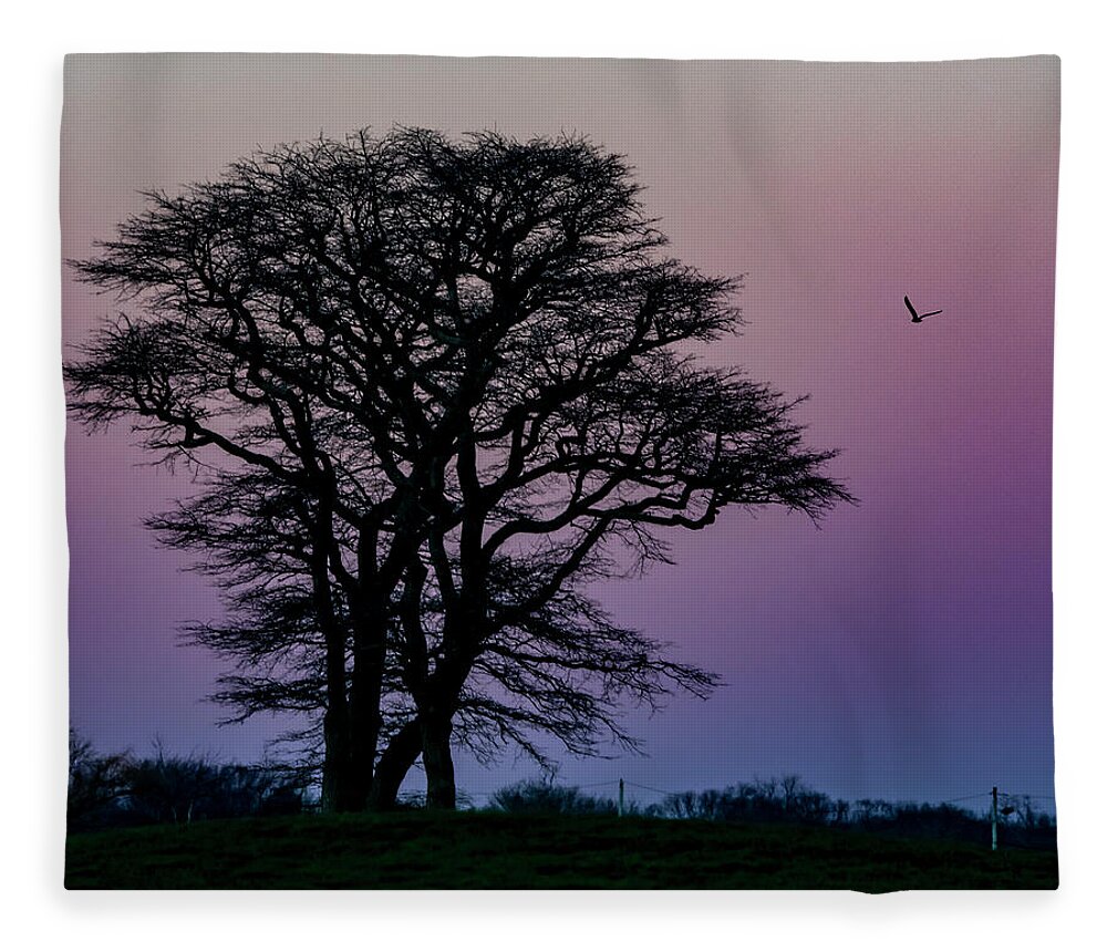 Landscape Fleece Blanket featuring the photograph Sundown by Cathy Kovarik