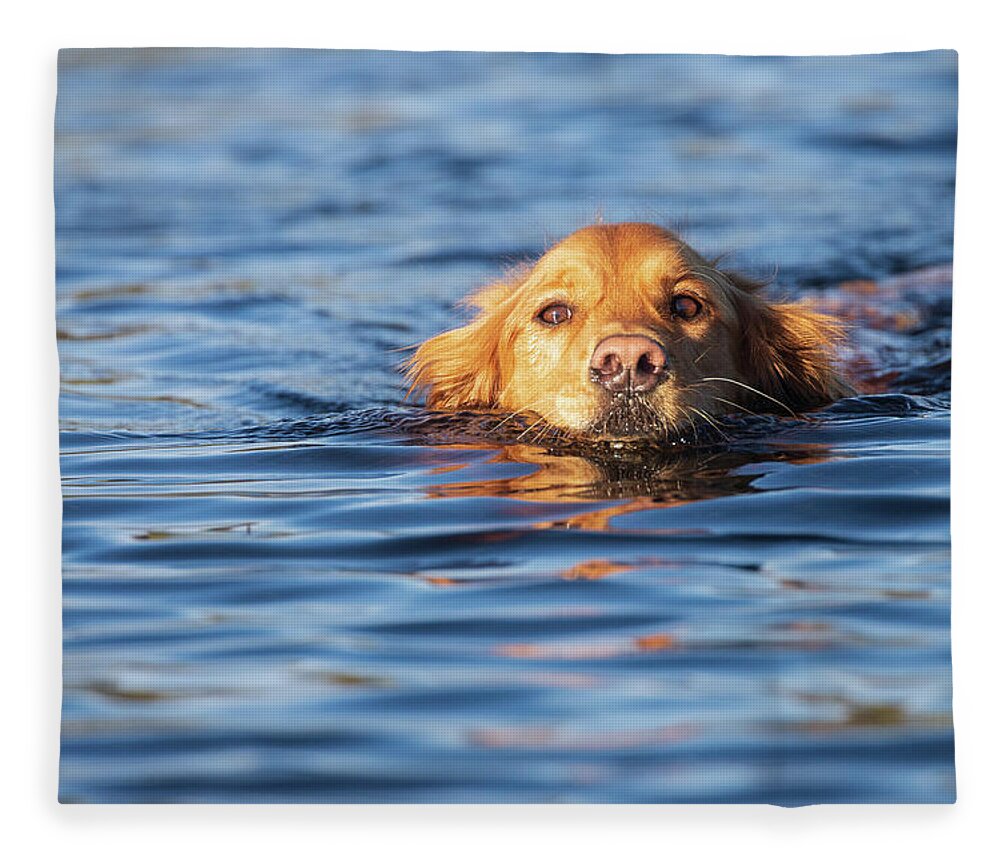 Lake Fleece Blanket featuring the photograph Swimming Golden #1 by Mike Lee