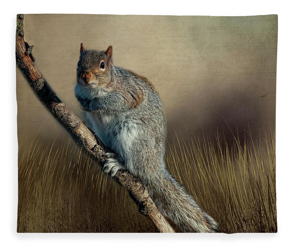 Nature Fleece Blanket featuring the photograph The Squirrel #1 by Cathy Kovarik