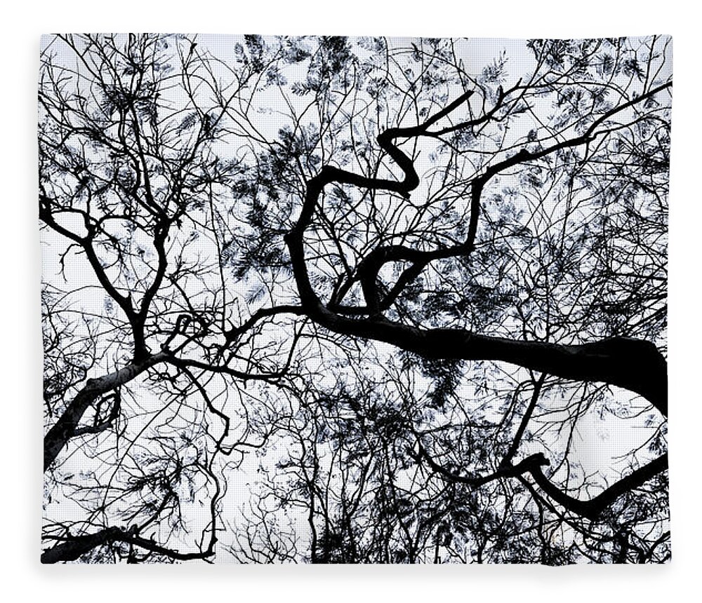 Tree Fleece Blanket featuring the photograph Tree Branches Silhouette by Arj Munoz