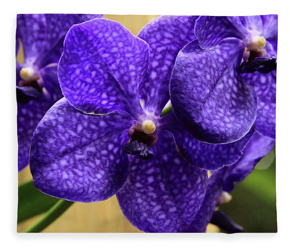 China Fleece Blanket featuring the photograph Vanda Orchid by Tanya Owens