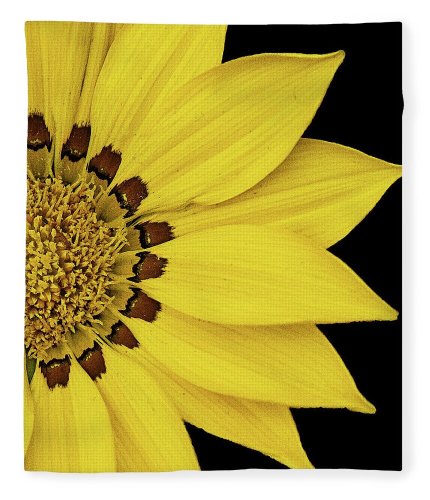 Yellow Flower Black Background Fleece Blanket featuring the photograph Yellow Flower #4 by David Morehead
