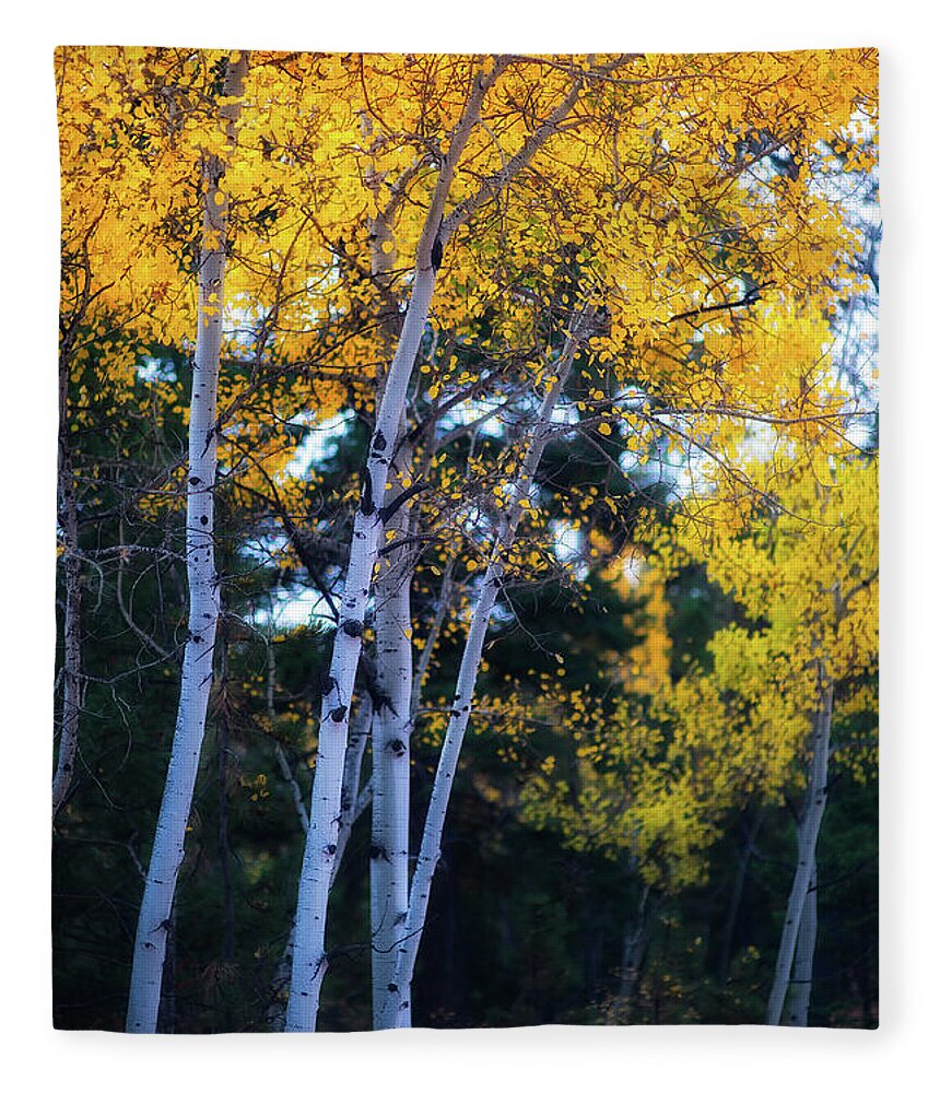 Co Fleece Blanket featuring the photograph Fall colors, Colorado #3 by Doug Wittrock