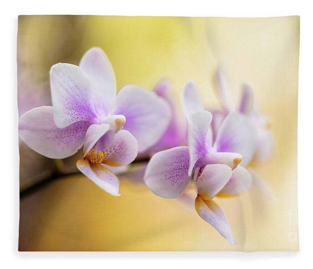 Background Fleece Blanket featuring the photograph Purple Orchid Flowers #11 by Raul Rodriguez