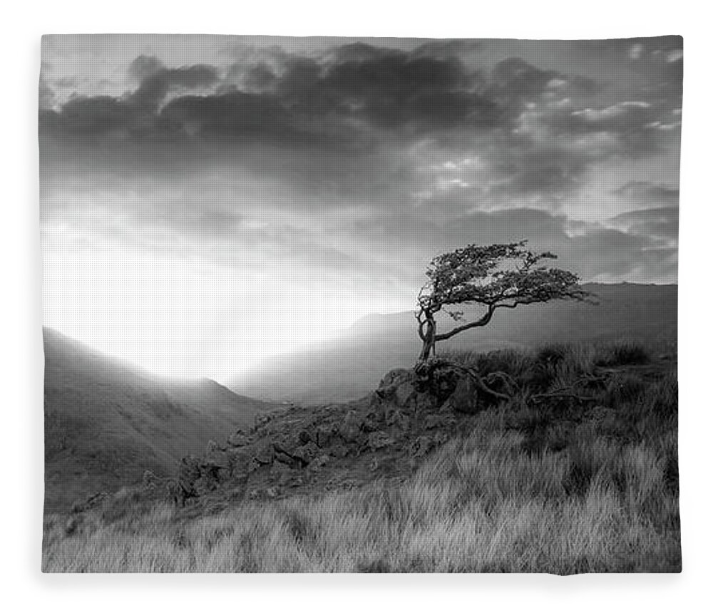 Trees Fleece Blanket featuring the photograph Trees #9 by Remigiusz MARCZAK