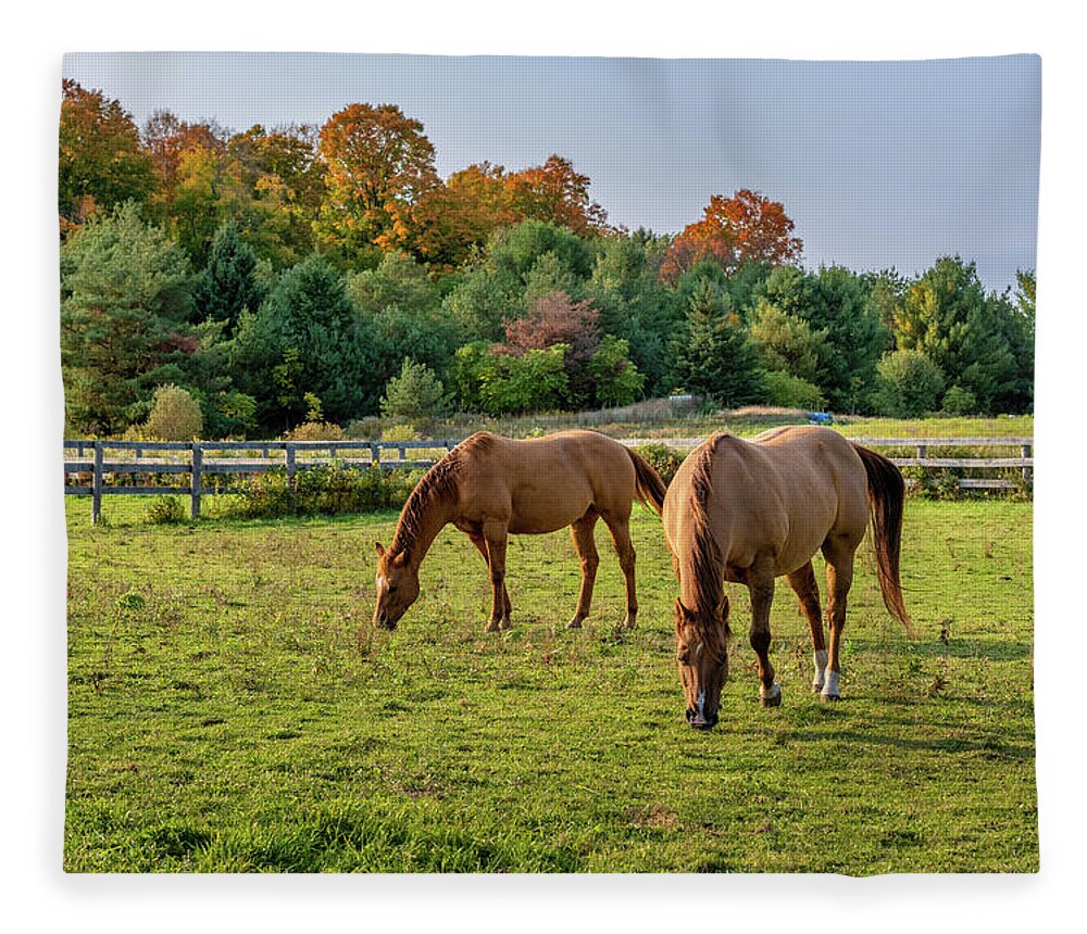 Autumn Fleece Blanket featuring the photograph Autumn Horses of Uxbridge #12 by Dee Potter