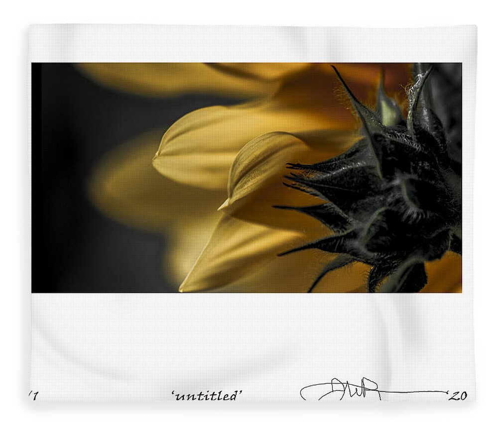 Signed Limited Edition Of 10 Fleece Blanket featuring the digital art 17 by Jerald Blackstock