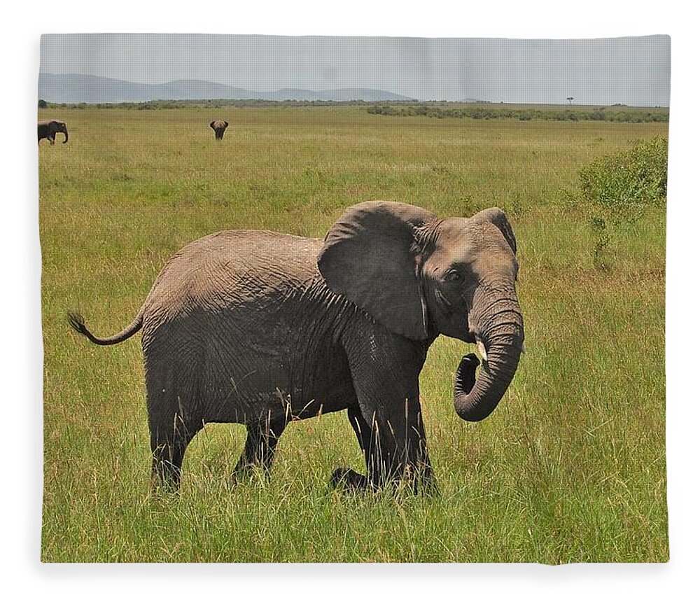  Fleece Blanket featuring the photograph 17k by Jay Handler