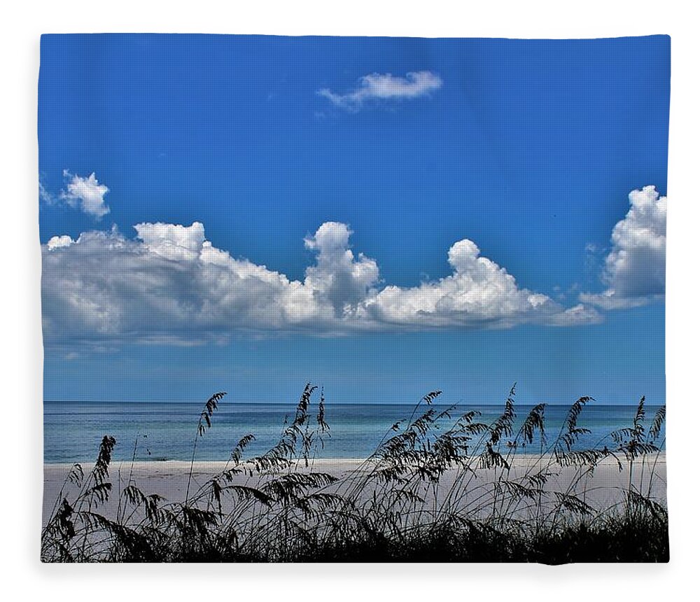  Fleece Blanket featuring the photograph Naples Beach by Donn Ingemie