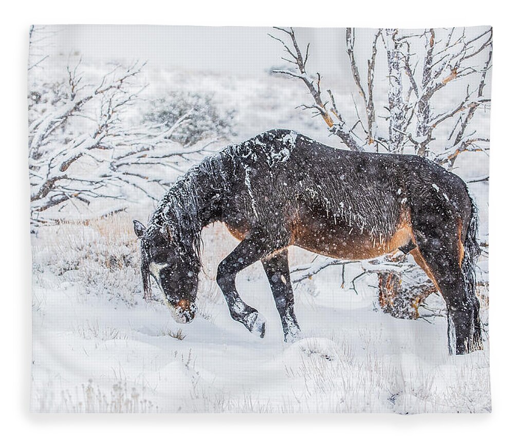  Fleece Blanket featuring the photograph 1dx27972 by John T Humphrey