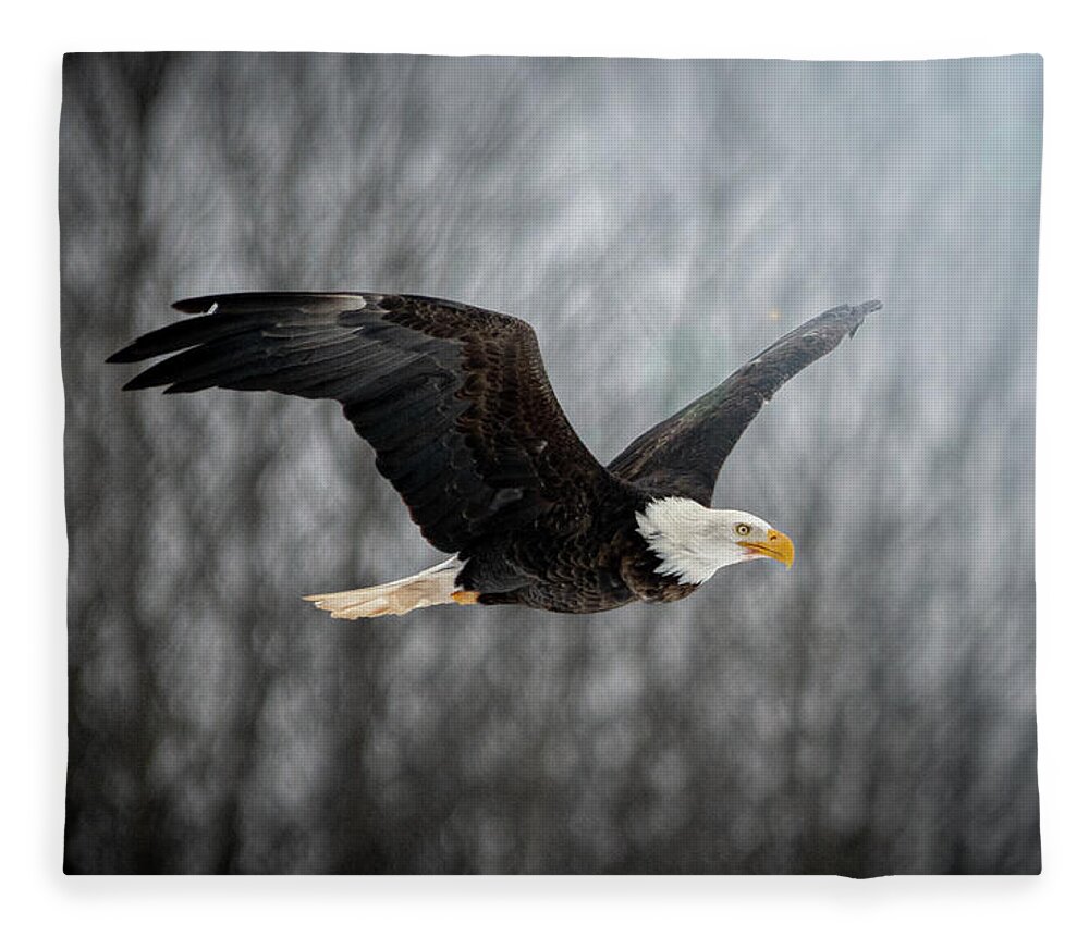 Bald Eagles Fleece Blanket featuring the photograph Bald Eagle #2 by Patrick Boening