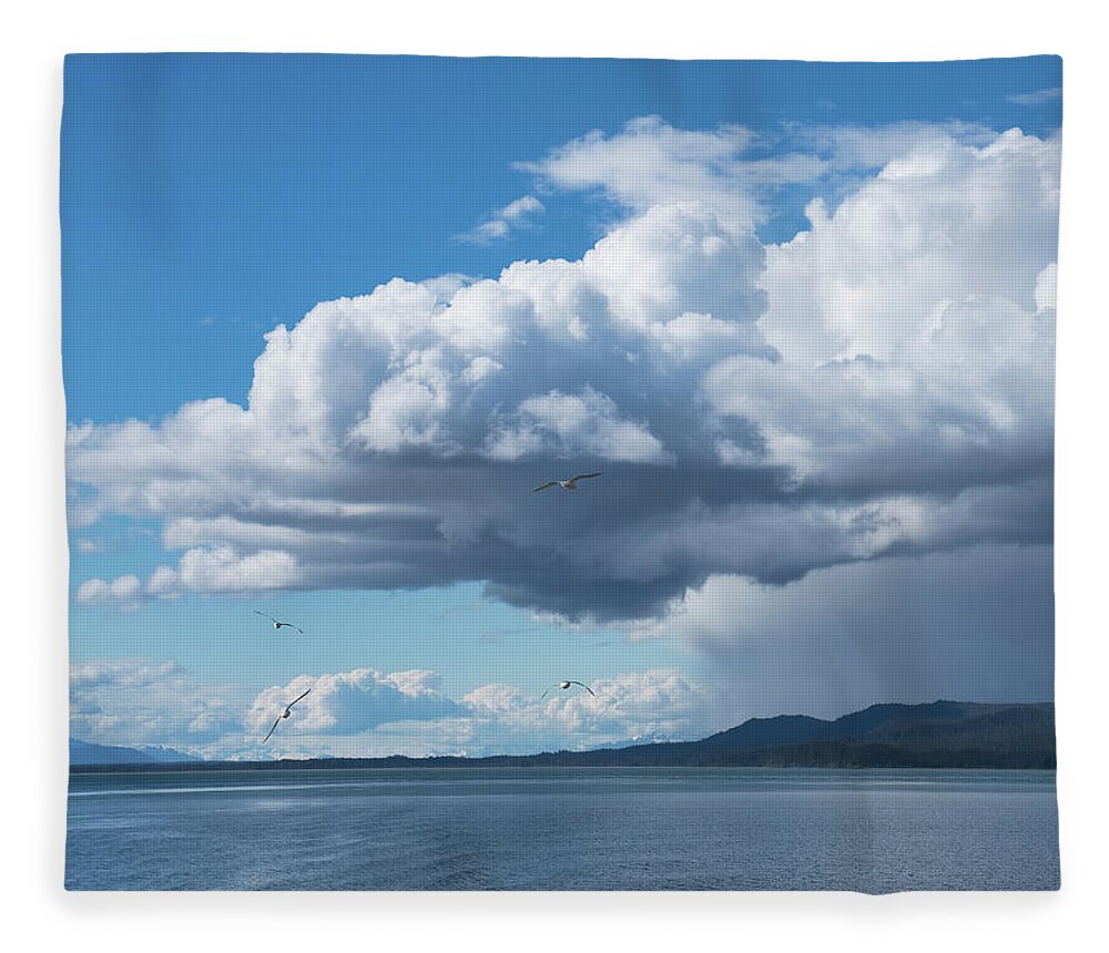 Alaska Fleece Blanket featuring the photograph Coming Storm #2 by Michele Cornelius