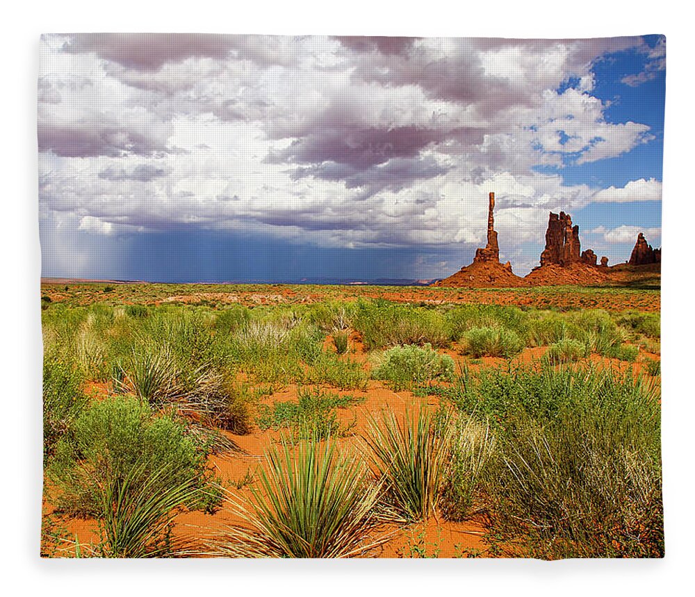 Desert Fleece Blanket featuring the photograph Desert Storm by Dale R Carlson