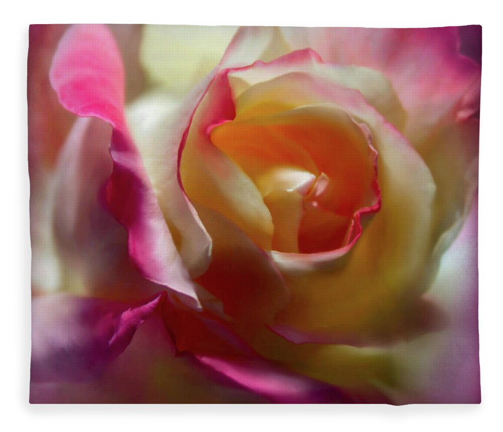 Roses Fleece Blanket featuring the photograph Fire and Ice Rose #2 by Sally Bauer