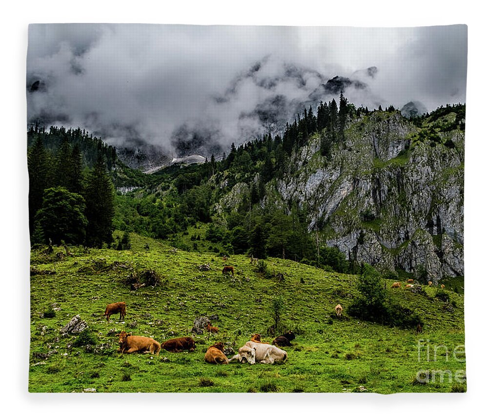 Austria Fleece Blanket featuring the photograph Herd Of Cows In National Park Gesaeuse In The Ennstaler Alps In Austria by Andreas Berthold