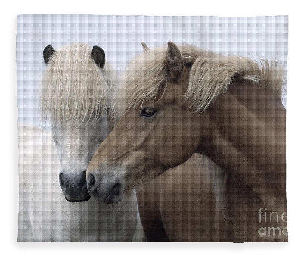 Affection Fleece Blanket featuring the photograph Icelandic Horses #1 by John Daniels