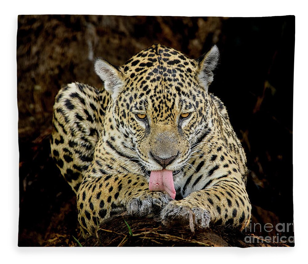 Brazil Fleece Blanket featuring the photograph Jaguar #2 by Patrick Nowotny