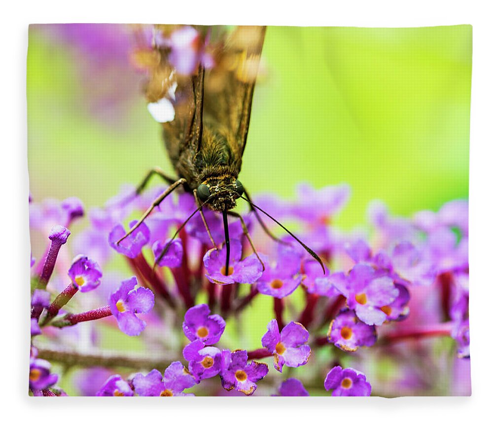 Plants Fleece Blanket featuring the photograph Macro Photography - Butterfly #2 by Amelia Pearn