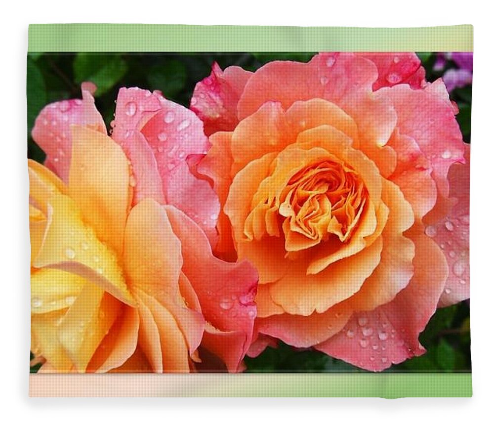 Roses Fleece Blanket featuring the photograph 2 Magnificent Roses by Nancy Ayanna Wyatt