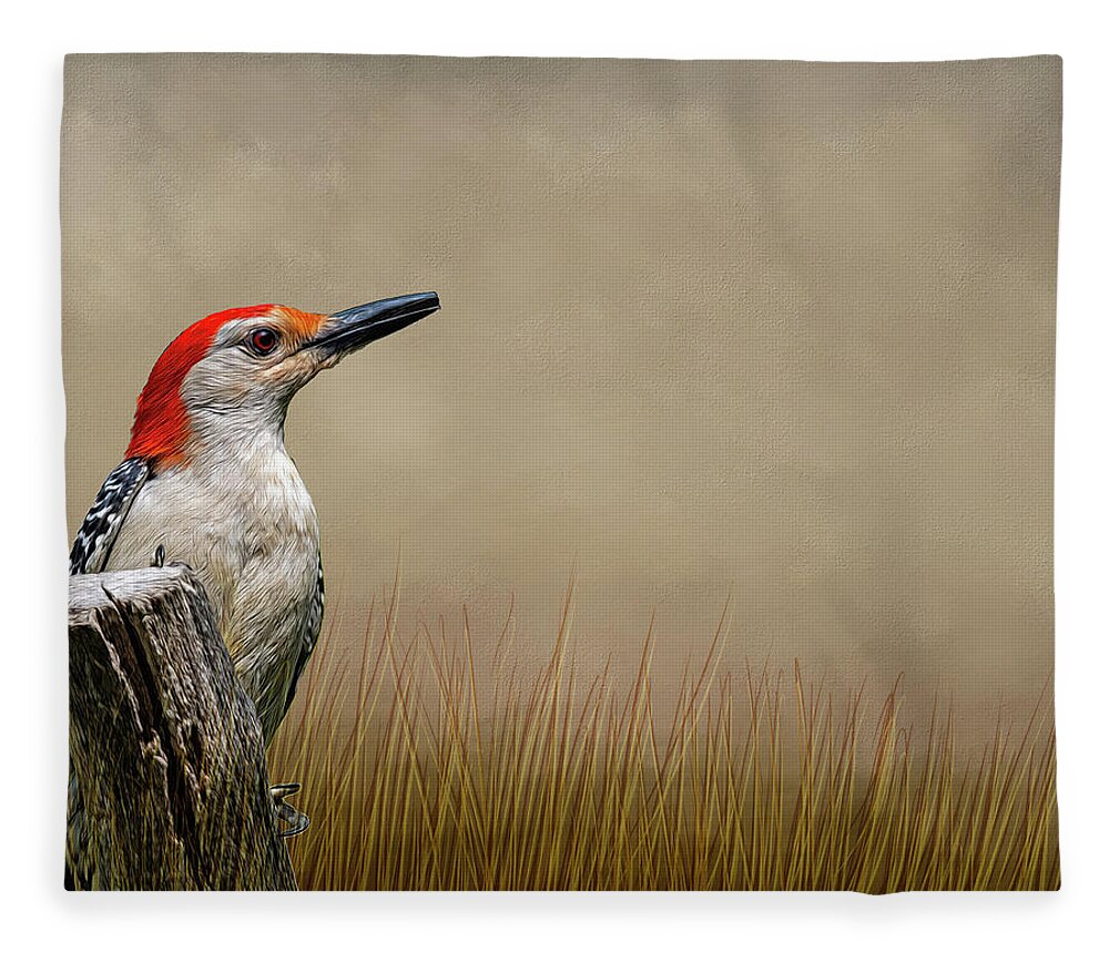 Bird Fleece Blanket featuring the photograph Mr. Red Belly by Cathy Kovarik