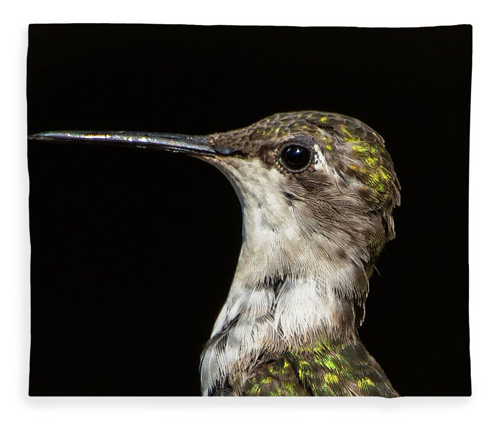 Ruby Throated Hummingbird Fleece Blanket featuring the photograph Portrait of a Hummingbird #2 by Sandra J's