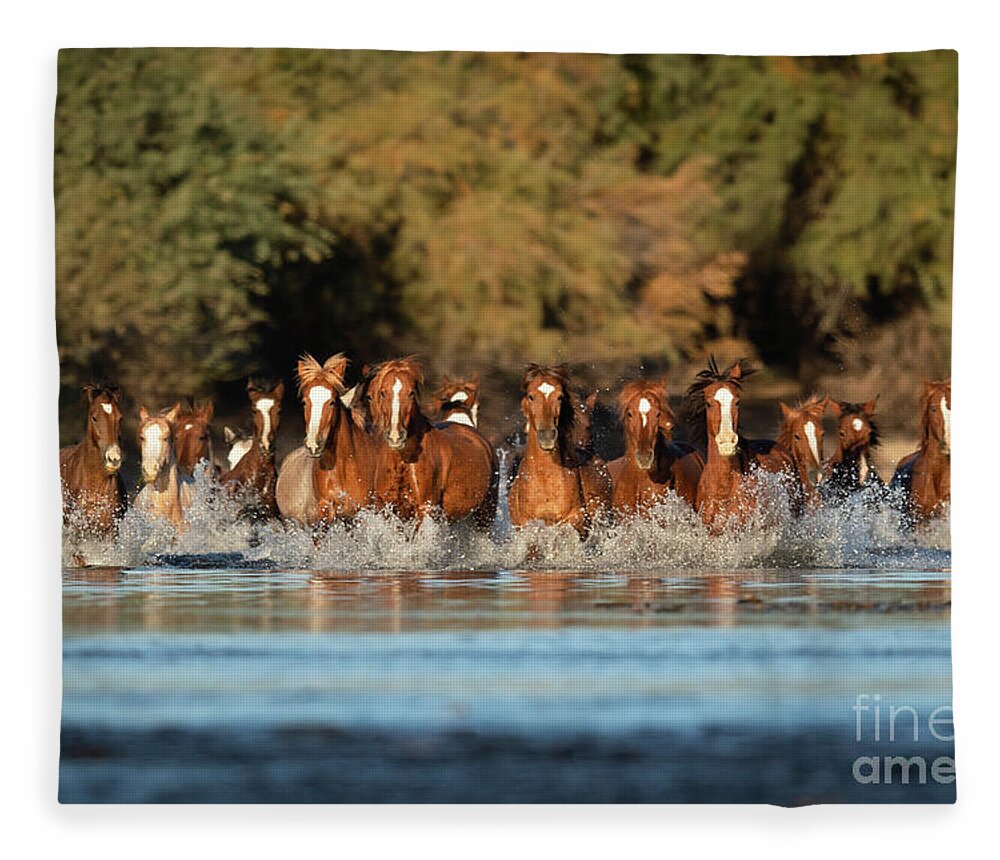 Salt River Wild Horses Fleece Blanket featuring the photograph Running Free #2 by Shannon Hastings