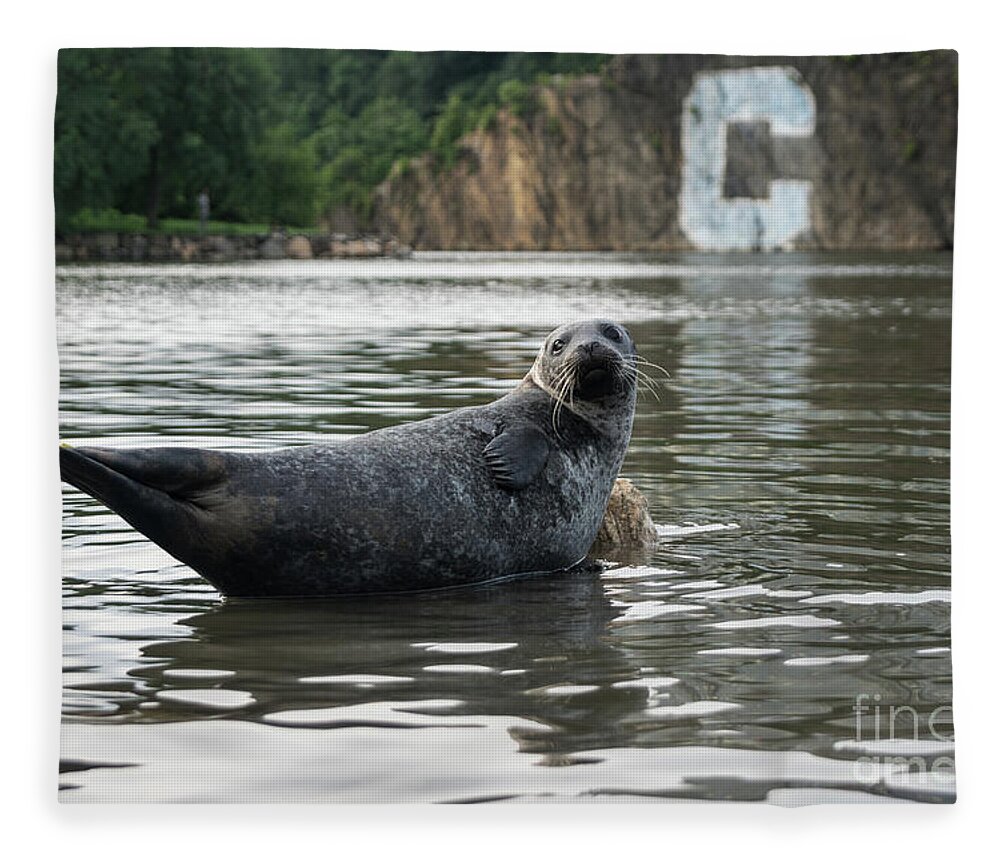 Spuyten Duyvil Fleece Blanket featuring the photograph Sealy #2 by Cole Thompson