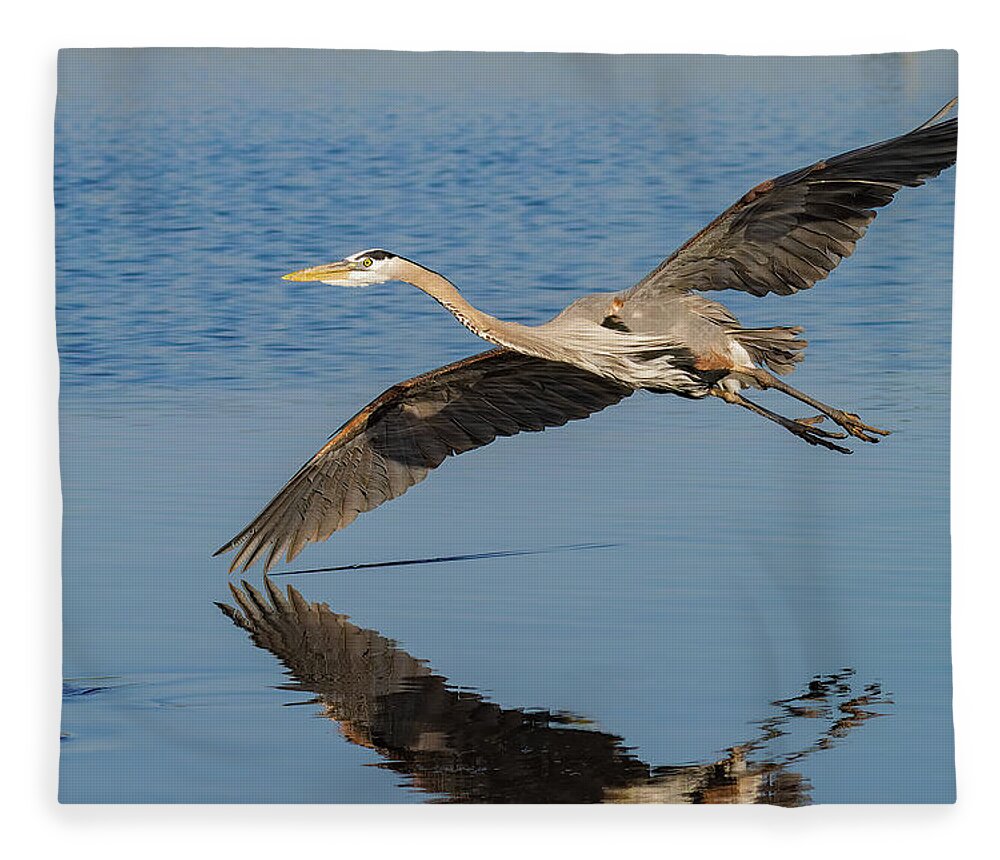 Great Blue Heron Fleece Blanket featuring the photograph Testing the Waters #1 by RD Allen